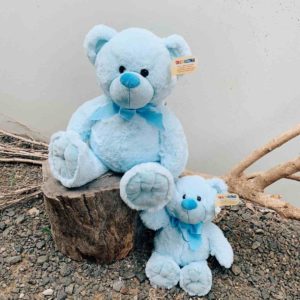 Baby Boy Teddy Bears