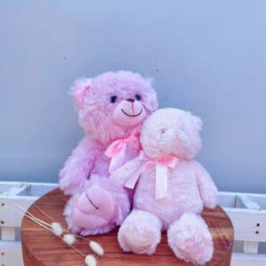 Baby Girl Teddy Bears
